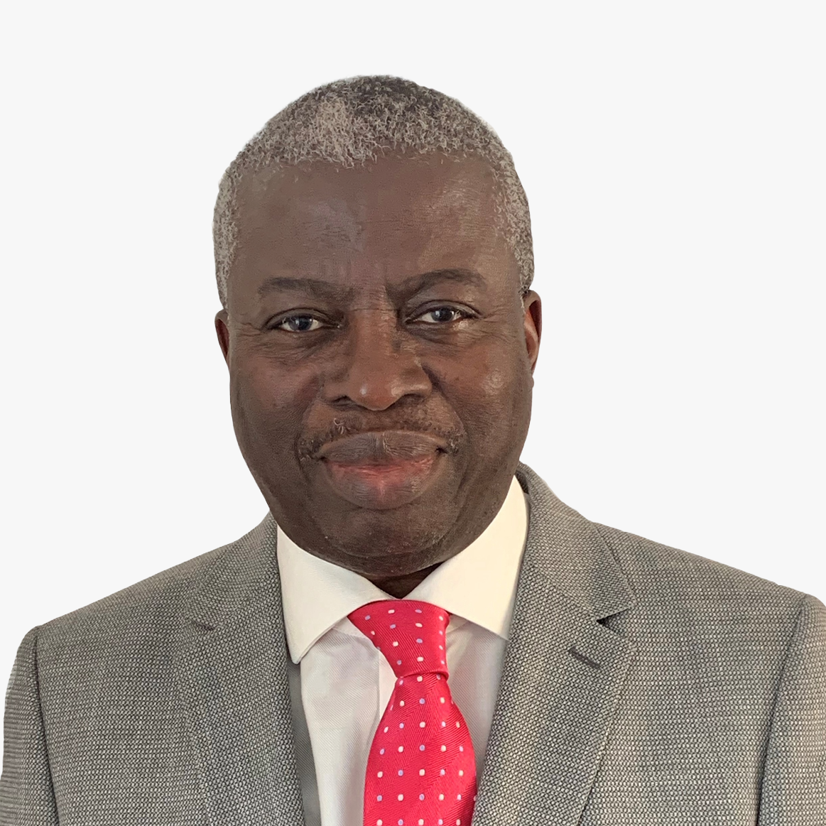 profile - Seni Odunsi